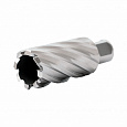 HSS-Co Корончатое сверло по металлу 50x110, weldon 19