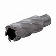 HSS Корончатое сверло по металлу 48x55, weldon 19